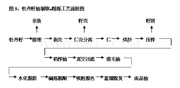 牡丹籽油設(shè)備 牡丹籽油榨油精煉生產(chǎn)線(圖5)