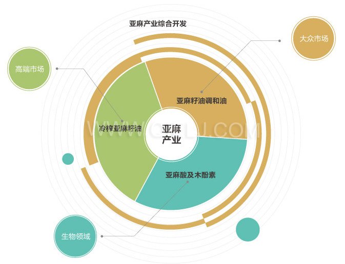 低溫冷榨亞麻籽油設備 開亞麻籽油廠 胡麻籽油精煉成套設備(圖6)